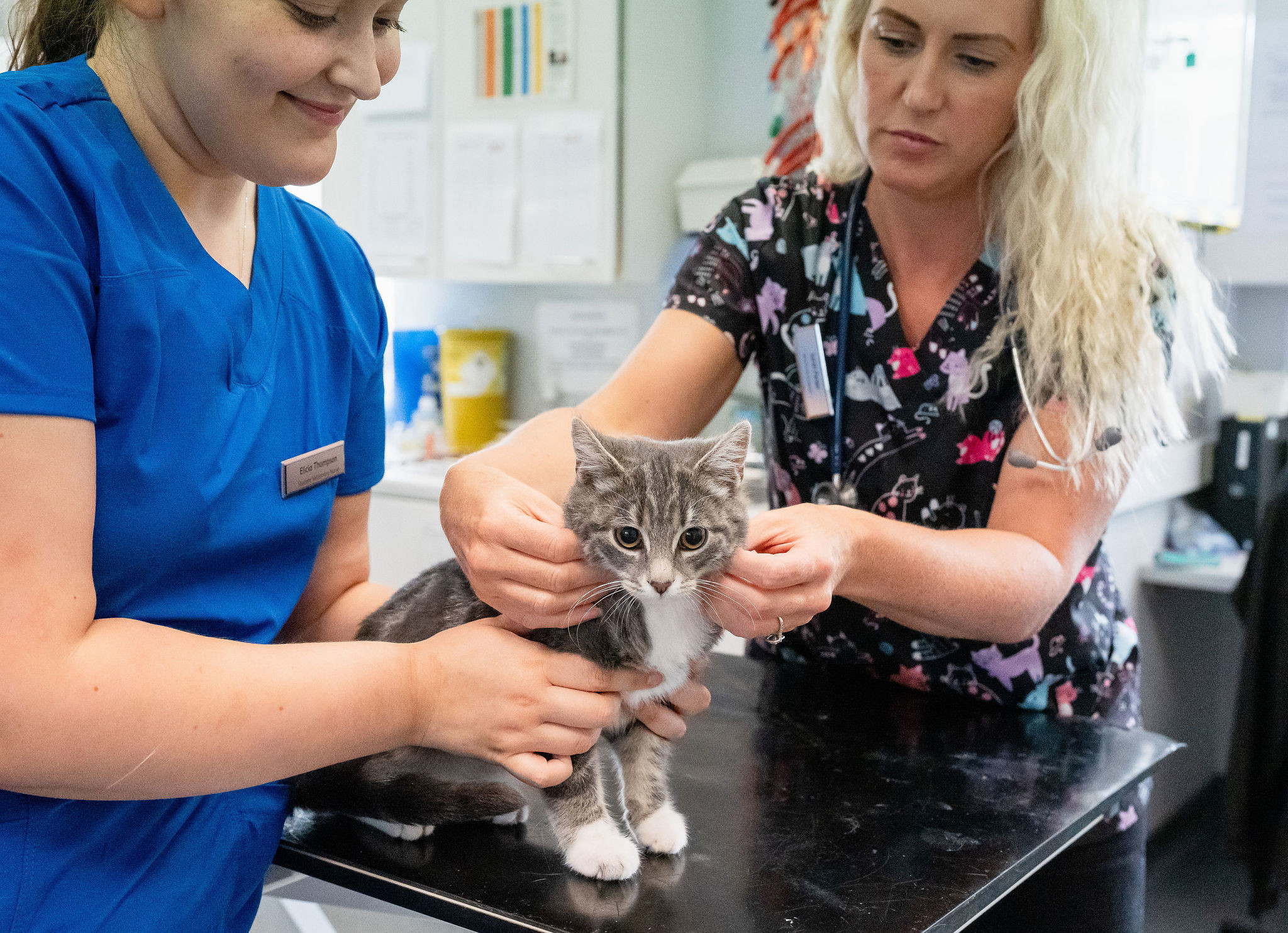 Bond Street Veterinary Clinic, Macclesfield | The Vet Collection